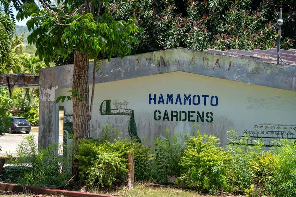 Guam's farming industry generates $6.16M amid renewed agricultural interest